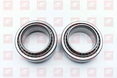 PT58186301AM Подшипник задней ступицы 170*110*146