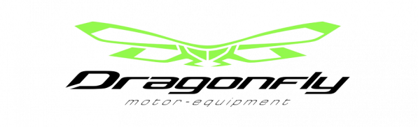 DRAGONFLYS