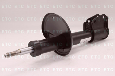 170123 Амортизатор