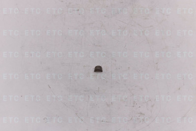 200V041040034 Сухарь клапана