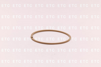 16Y-11-0027 Кольцо