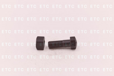 71401179 Болт башмачный+гайка