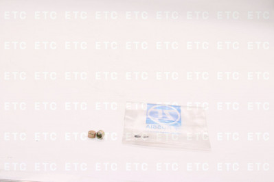 ZF 5840333132 Заглушка