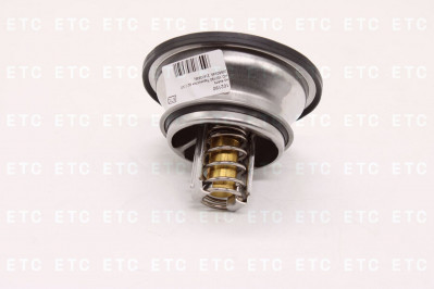 HD 102190 Термостат 82°C