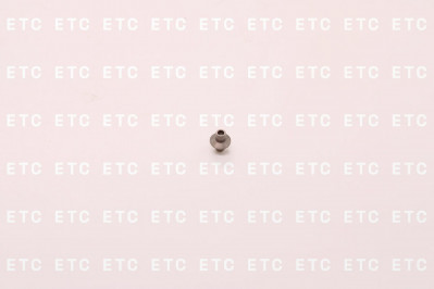 F00ZB20002 Нажимной болт