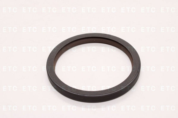 CNHTC BDPTSLLSX7 Сальник коленвала задний без пружины — 1