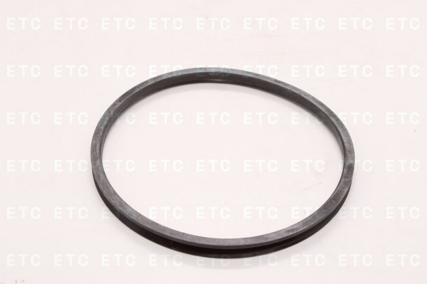 DT 116373 Кольцо балансира уплотнительное — 2