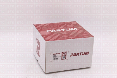 PT201082 Ступица в сборе с подшипниками