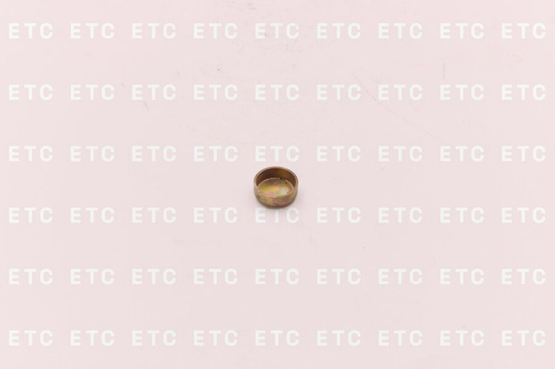 3900956 Заглушка D=18мм блока цилиндров — 1