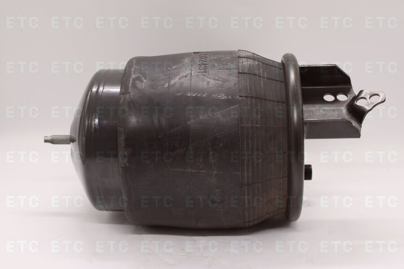 DT 262431 Пневморессора подвески — 3