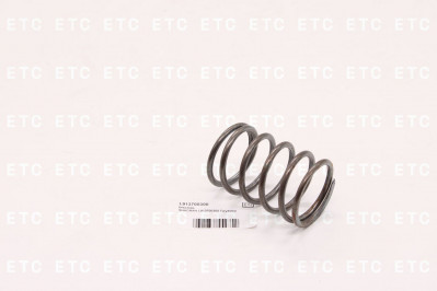 L913700300 Пружина