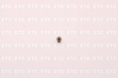 F00ZB20002 Нажимной болт