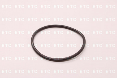 WG586340002 Уплотнительное кольцо нижнего шкворня