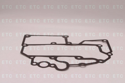 SITRAK 202V059010145 Уплотнительная прокладка масляного модуля