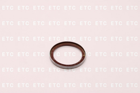 SITRAK 712W965026040 Сальник тормозного вала 42*52*5 — 2