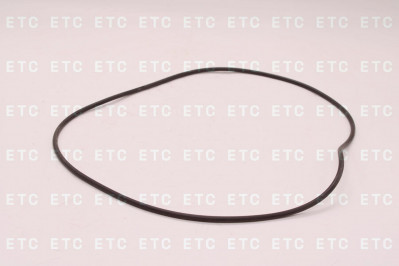 CSN029281 Кольцо 300*5