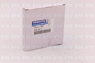 6754-31-2010 Комплект поршневых колец