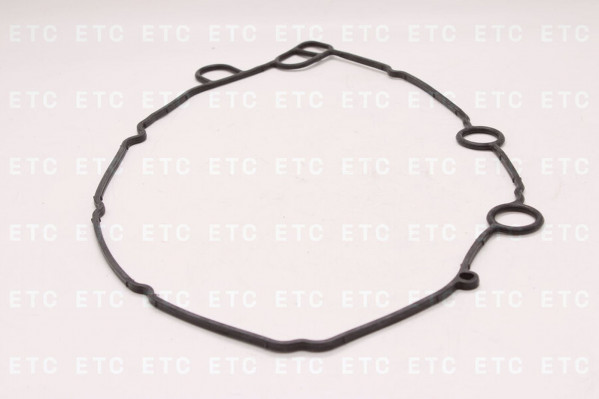 DT 124134 Прокладка маслоохладителя — 1