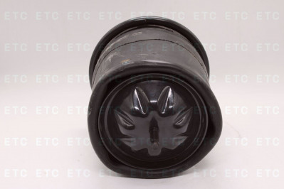 SEM 726418C Пневморессора в сборе