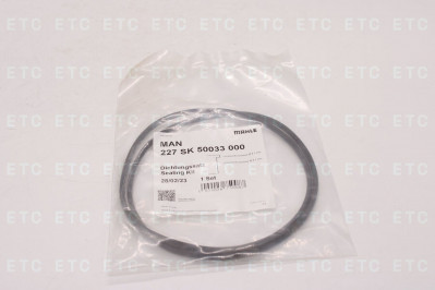 227SK50033000 Уплотнение гильзы