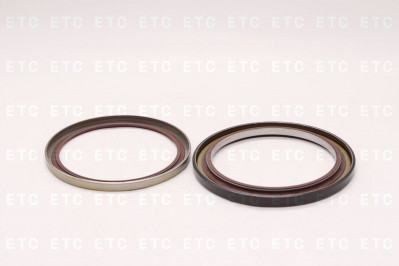 B1VIJ Сальник ступицы 132*160*10