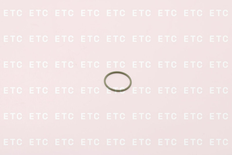 DS F00RJ00222 Кольцо резиновое форсунки — 1