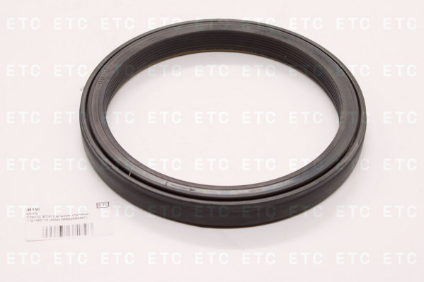 B1VI Сальник ступицы 132*160*10 — 2