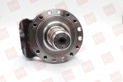 VO 20543315 Поворотный кулак передний