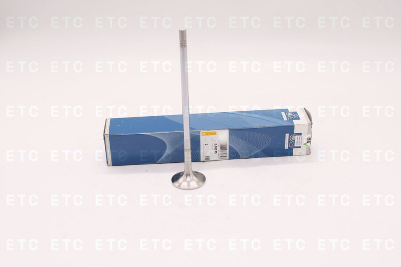 DT 210575 Клапан впускной — 1