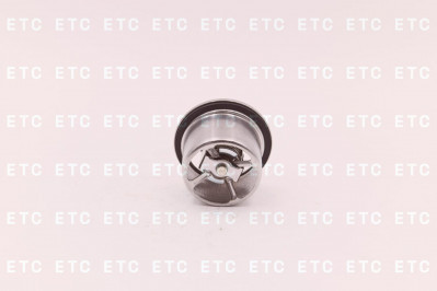 2485513 Термостат