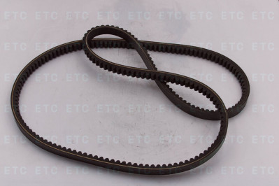 217638 Ремень 6PK1300,  20*2190 мм.