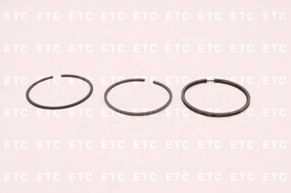 9541300 Кольца поршневые — 1