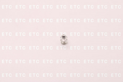 ПМ1000 Масленка М10*1 прямая