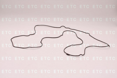 713784600 Прокладка впускного коллектора