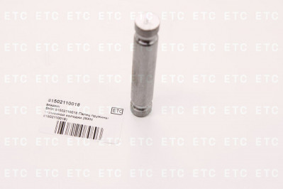 81502110018 Палец пружины тормозной колодки