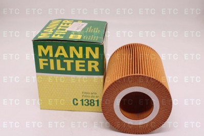 C1381 Фильтр воздушный