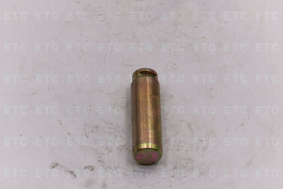 WG9761450150 Палец опорный задней колодки