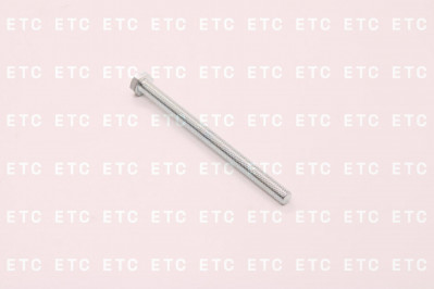 06010137126 6-гранный установочный винт M8*110