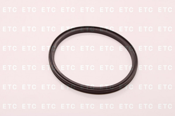 0501328752 Кольцо 99,6*113,5*7,1*6,8 — 2